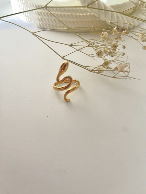 Anillo Serpiente2