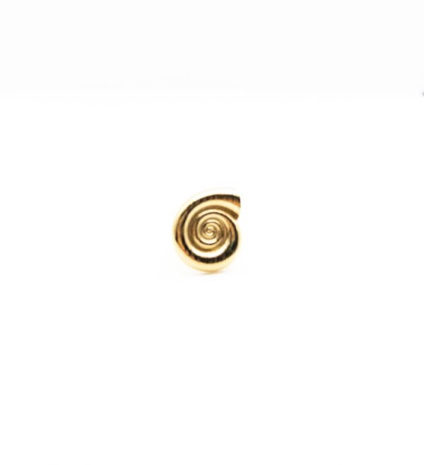 Anillo Caracola