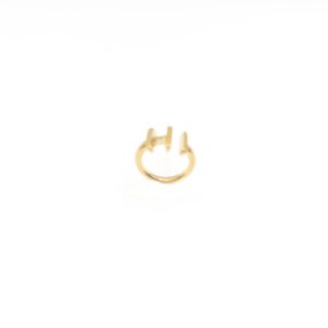 Anillo HI - Imagen 2